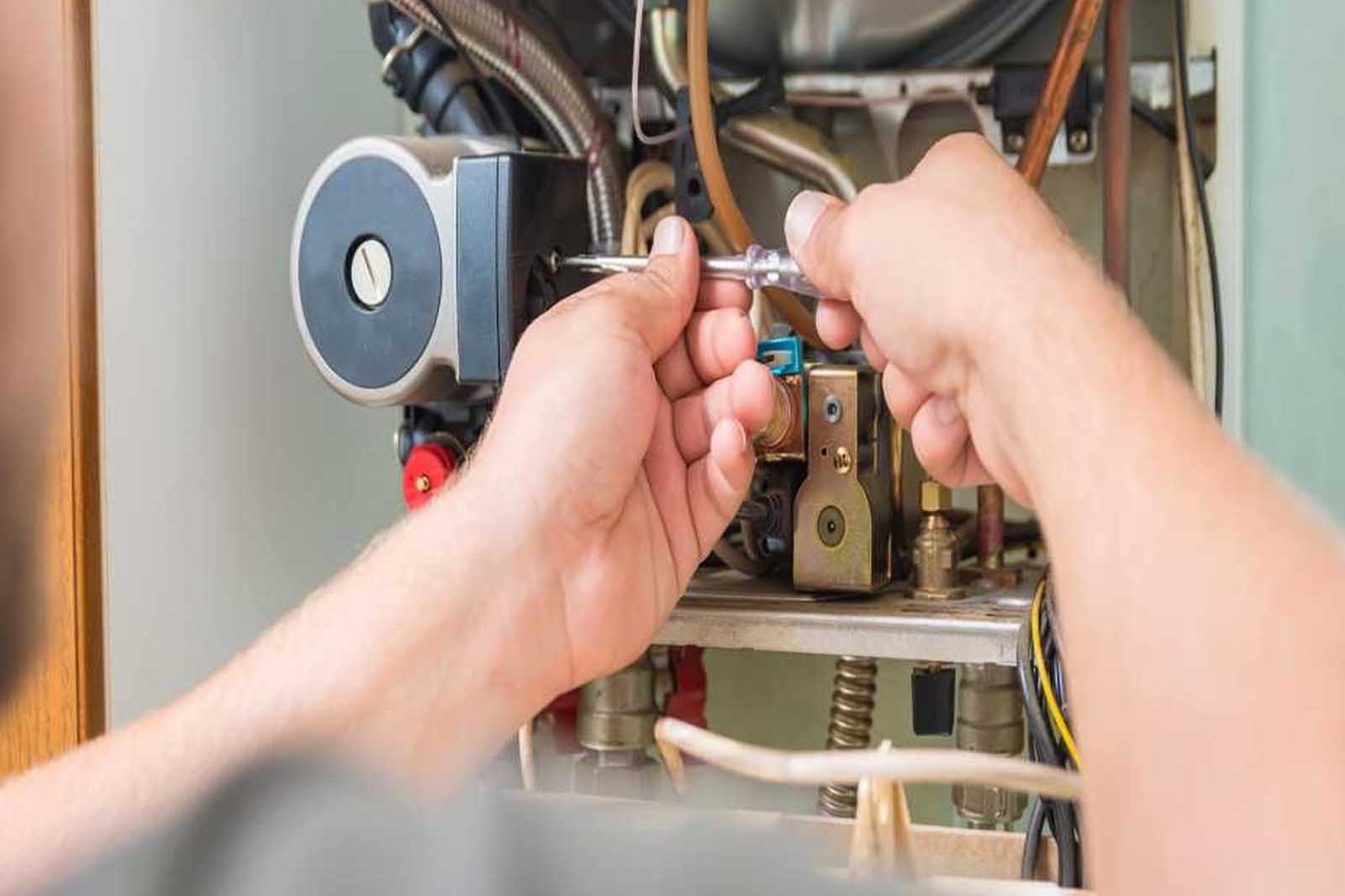 Petek Temizliğinizi Yaptırdınız mı?